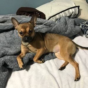 Meet your Posher, Leslie